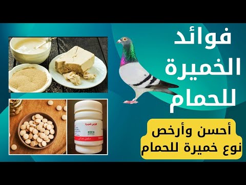 طريقة تقديم الخميرة للحمام أحسن وأرخص نوع خميرة للحمام فوائد الخميرة الحمام الزاجل تربية الحمام