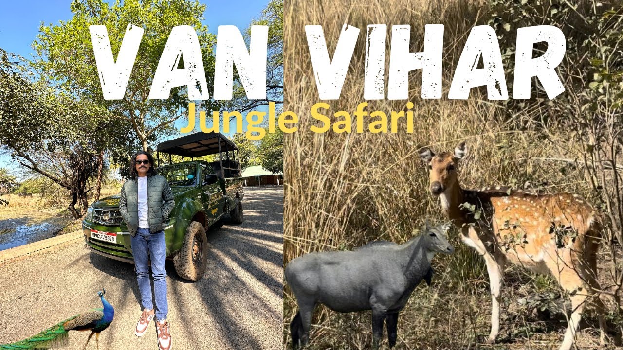 jungle safari near bhopal