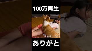 ゆずぽんとなかよし最強