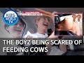 THE BOYZ being scared of feeding cows [Battle Trip/2020.03.15]