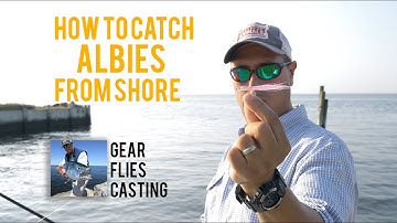 How to catch albies from shore on the fly - Long Island, New York