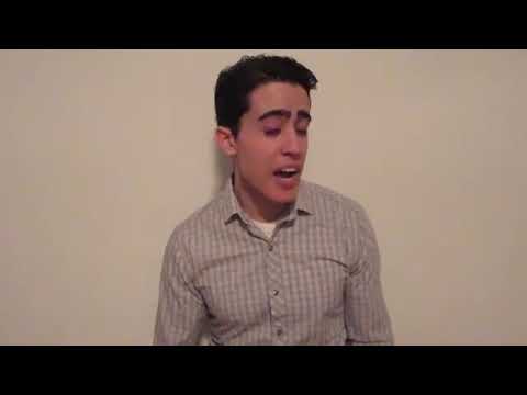 Iron and Anemia how to raise blood levels FAST 