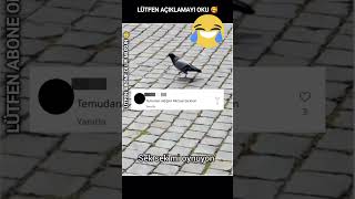 Ülkenin Kuşuna Bak