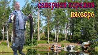 видео: Северная Карелия. Пяозеро. картинка: Северная Карелия. Пяозеро.
