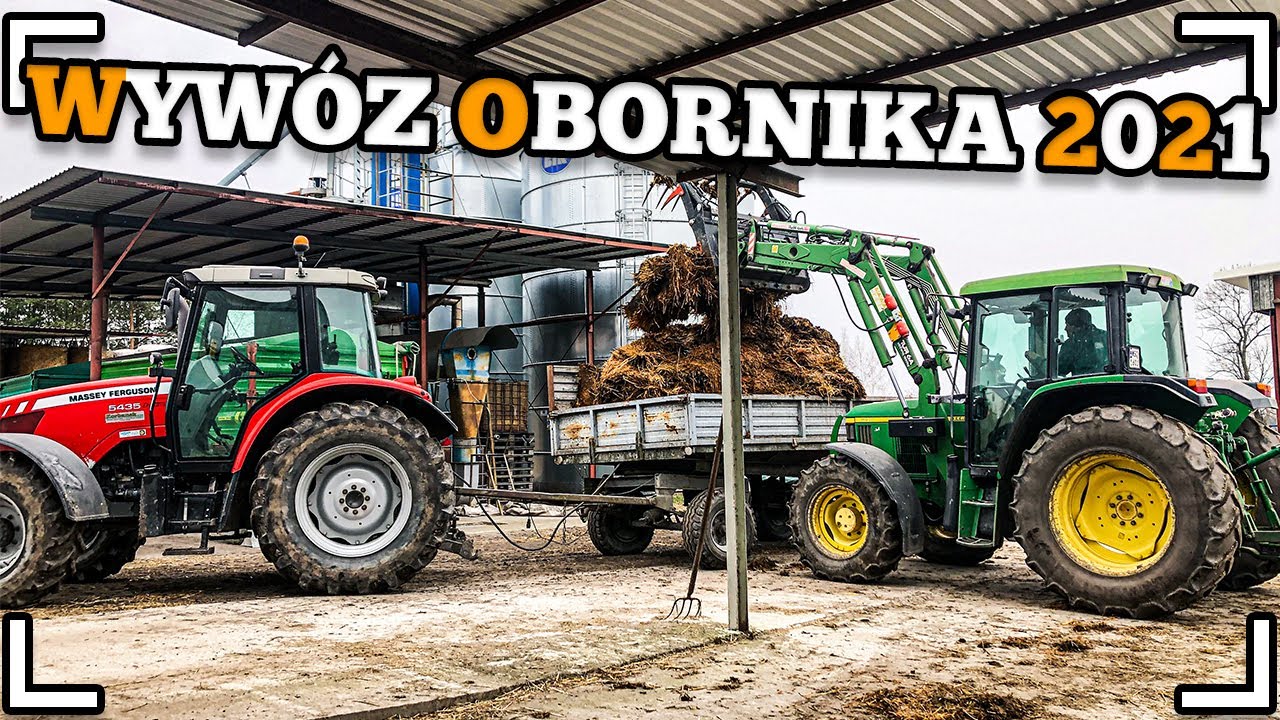 WYWÓZ OBORNIKA OD BYKÓW 2021