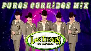 Los Tucanes De Tijuana Mix 2023 - Las Mejores Canciones - Puros Corridos Mix 2023