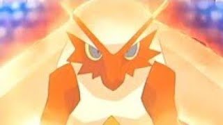 May combusken evolution in Hindi episode