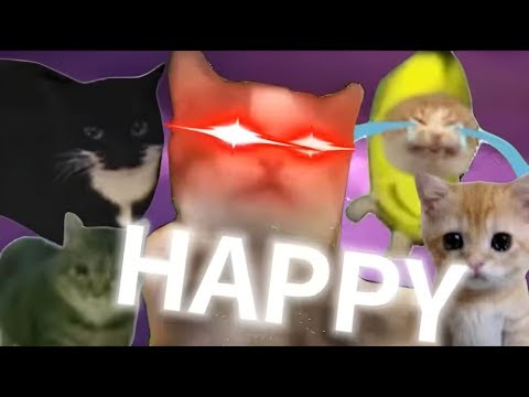 ⚡𝕳𝖆𝖕𝖕𝖞 𝕳𝖆𝖕𝖕𝖞 𝕳𝖆𝖕𝖕𝖞⚡|