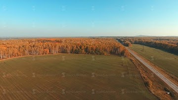 Green field and yellow autumn trees. Rural highway. Empty road