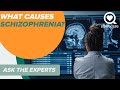 What Causes Schizophrenia? | Ask The Experts | Sharecare