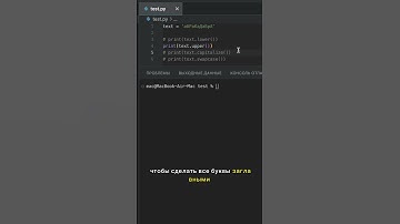 Работа с регистрами в Python за 1 МИНУТУ. Как редактировать текст в Python. Python для начинающих