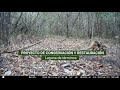 Conservación en Campeche: Proyecto Nicté Ha - Xim Balám #Nat5LiveMarketplace