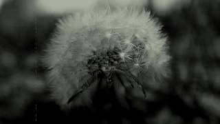 Jacob Jeter Garrett - Barcelona Official Video