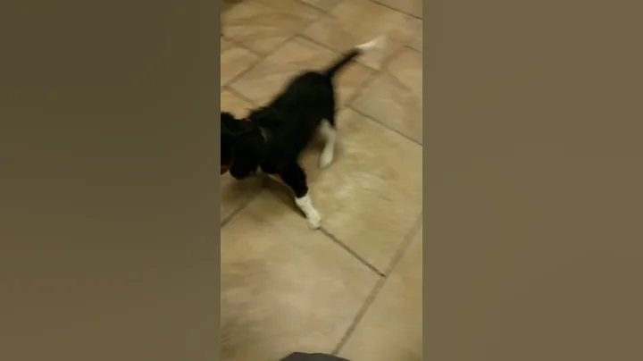Murphy's first visit