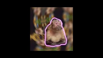 Day 2 of making edits with random photos from my camera roll