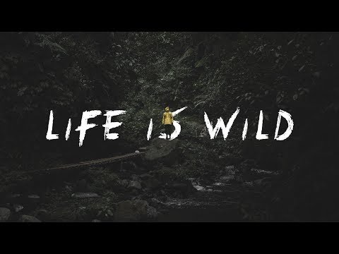 LIFE IS WILD
