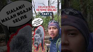 Part 4 🐷 Bagas Cikuray | Kuajak selfie 📸#hiking #mountains #pendaki #gunung #landscape