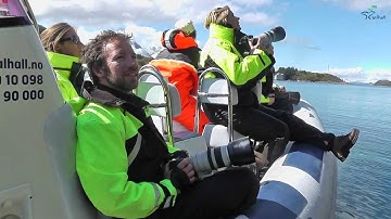 Valhall Adventure part 2: Summer