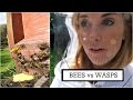 BEES vs WASPS | Beekeeping with Maddie #6