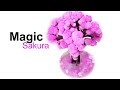 MAGIC Sakura DIY Fun!