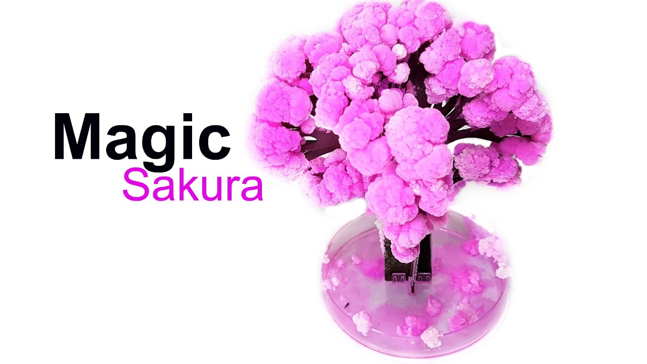 MAGIC Sakura DIY Fun! 