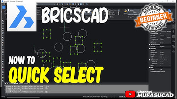 BricsCAD How To Quick Select