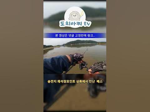 #Shorts 송전지(이동저수지) 채석장 배스_까칠한 아이가 잡혔어요#Bass_Fishing - Youtube
