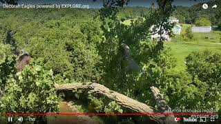 Decorah Eagles Cam   watch live footage of Bald Eagles   Explore org   Google Chrome 7 14 2019 10 17