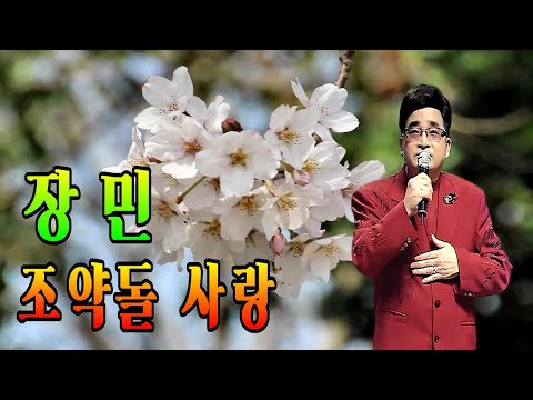 장민 조약돌사랑 트로트 영상음악 가수 장민 조약돌 사랑 3번 연속듣기 가사삽입
