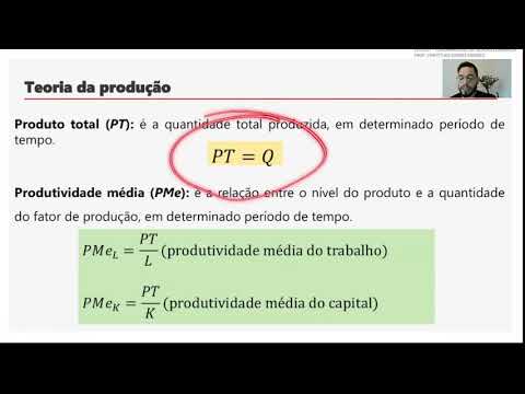 Vídeo: O que se entende por teoria da produtividade marginal?