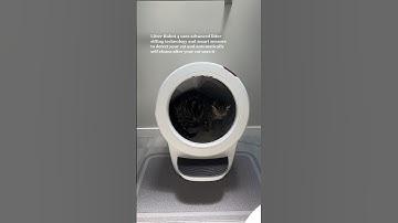 Set up my cat’s automatic litter box with me | Litter Robot 4