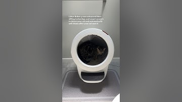 Set up my cat’s automatic litter box with me | Litter Robot 4