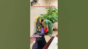 THÁC NƯỚC PHONG CẢNH – ĐIỂM NHẤN SỐNG ĐỘNG CHO NGÔI NHÀ