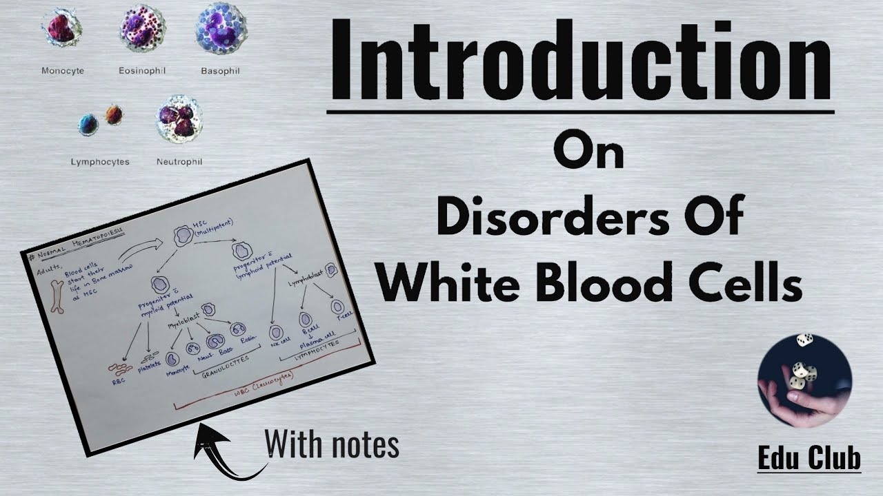 Disorders of White Blood Cells Introduction Neoplastic Disorders