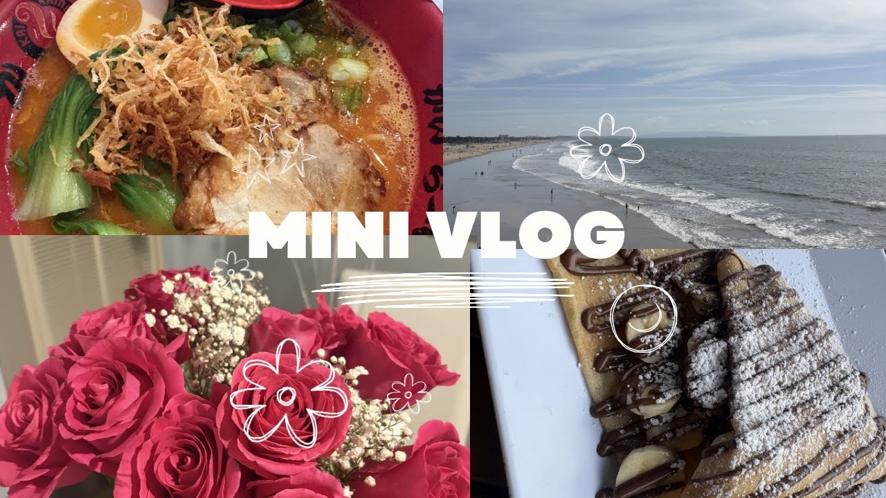 MINI LOS ANGELES VLOG 