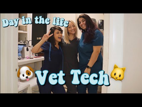 Day In The Life Of A Vet Tech｜Vet Tech Vlog ｜Veterinary Technician｜Veterinary Nurse