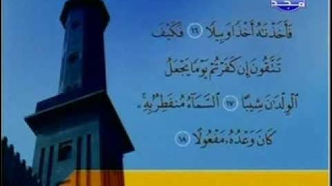 سورة المزمل   محمد البراك
