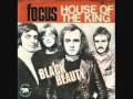 Focus  house of the king