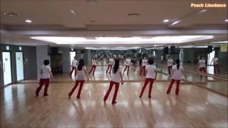 Video thumbnail of "Love Potion No. 9 Line Dance"