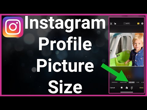 Instagram Profile Picture Full Size (+ What Else to Know) - ShareThis