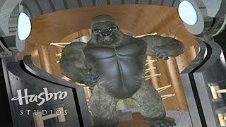 Beast Wars: Transformers - Beast Forms Beast Wars: Transformers - Beast Forms