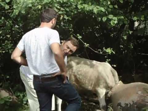 qvevrshi gachedili dzroxa-gavazi გავაზი