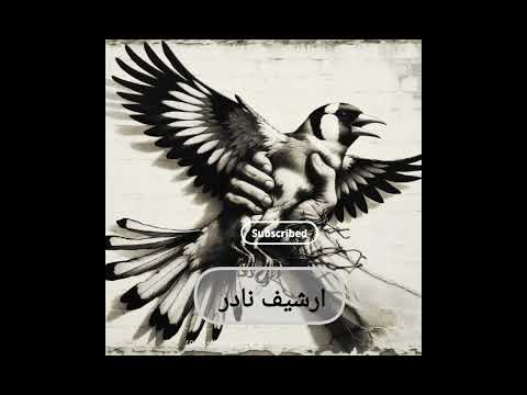 تغريد حسون مول لومبيلونس أساطير الأولين من عند خويا محمد فرقاني بعد محاولة التصفية