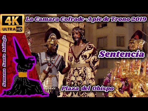 Muy Ilustre, Venerable y Fervorosa, Hermandad Sacramental y Cofradía de Nazarenos de Nuestro Padre Jesús de la Sentencia, María Santísima del Rosario en sus Misterios Dolorosos y San Juan Evangelista