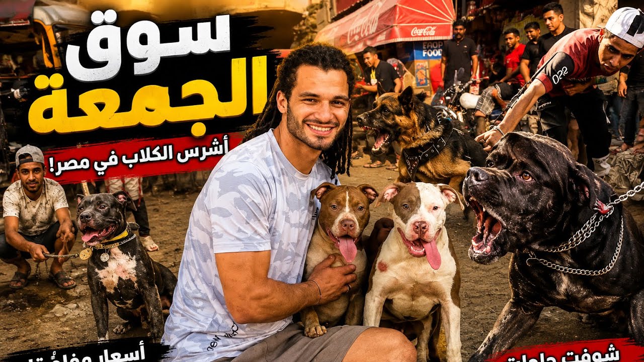 Latest Title & Thumbnail