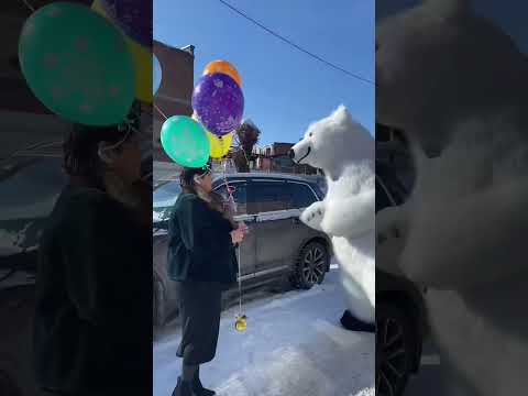 Медведь Томас залетел на день рождения 🥳 изменяем атмосферу 😜 #череповец #сюрприз #shorts #танцы