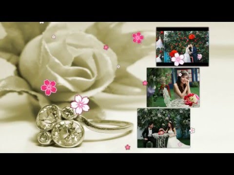 Share project wedding proshow producer