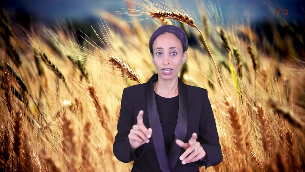 האם מותר להפריש חלה בשבת