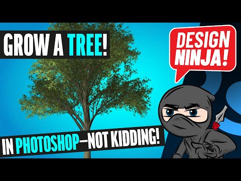 Grow A Tree in Photoshop CC (Not Kidding)!