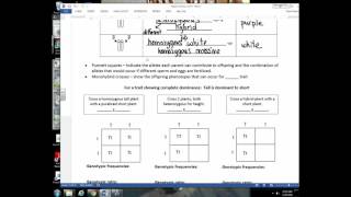 Unit 7 Lecture 3 - Inheritance Patterns